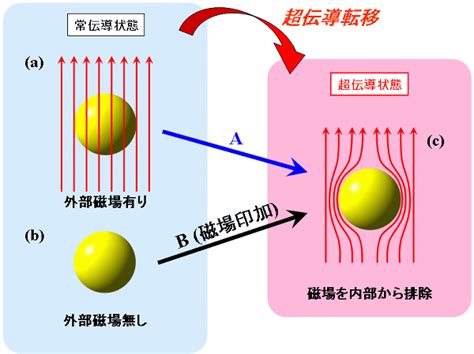 図 マイスナー効果の概要。常伝導状態にある超伝導体（黄色い球体）にa磁場を印加した状態で