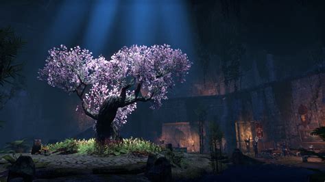 Eso Epic Screenshots Outlaws Refuge Elden Root