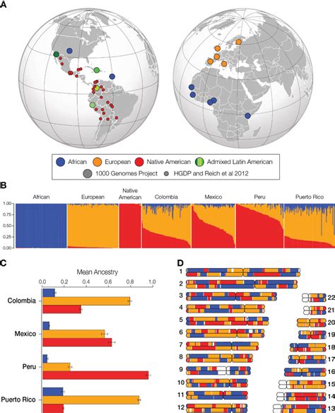 Genetic Ancestry And Admixture In Latin America A The Global