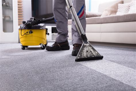 What is the Best Type of Professional Carpet Cleaning? - Dan Dan The ...