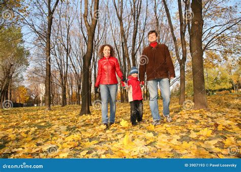 Familie Geht Im Park Spazieren Stockbild Bild Von Kind Betrieb