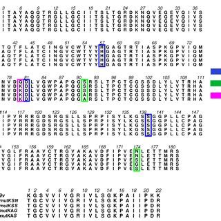 A Multiple Hepatitis C Virus HCV NS3 Sequence Alignment Between The