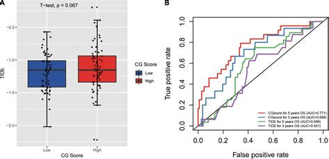 Frontiers Identification Of A Novel Immune Related CpG Methylation