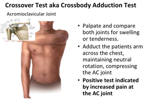 Bates Chapter Musculoskeletal Flashcards Quizlet