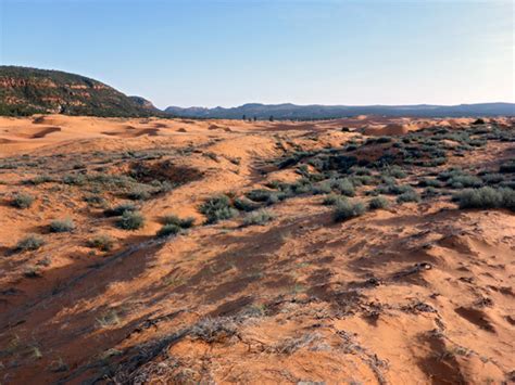 Coral Pink Sand Dunes State Park, Utah