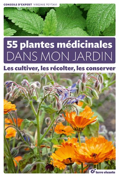 Plantes M Dicinales Dans Mon Jardin Le Blog Permaculture