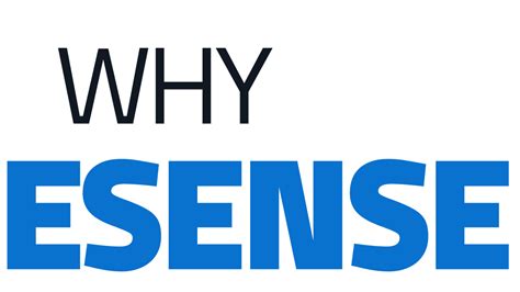 Esense – Delivering Value