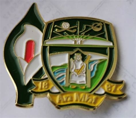 Meath Easter Lily Badge Meath Gaa Easter Lily 1916 Easter Rising Irish