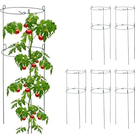 Relaxdays Plantensteun Set Van 6 Ronde Plantengeleider