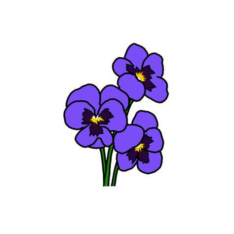 How To Draw Viola Tricolor Flowers Step By Step Easy Drawing Guides