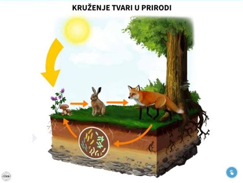 KRUŽENJE TVARI U PRIRODI