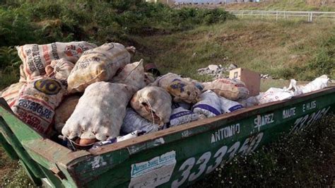 Recogen M S De Kilos De Papas Bichadas En Medio Mes En La Orotava