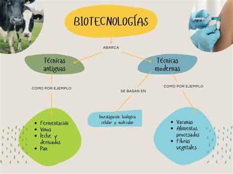 Mapa mental biotecnologías Map Map screenshot Conceptual