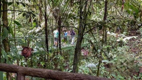 La Fortuna Arenal Hanging Bridges Hiking Tour Getyourguide