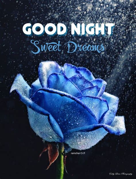 ปักพินโดย ☮ Linda 🕊🌹🕊 Gowen ☮ ใน Good Night 3 🥱🌙 ราตรีสวัสดิ์