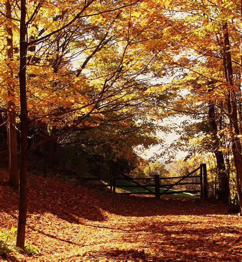 Vermont’s fall foliage shines in these vibrant pictures