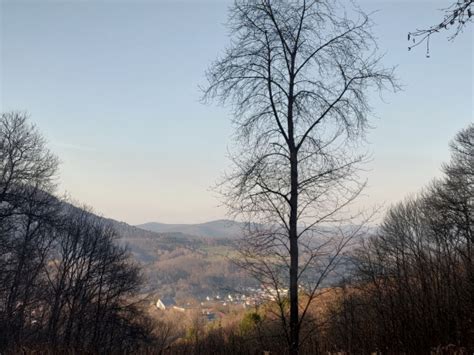 Naturparkrundweg Zum Wasgaublick Wanderung