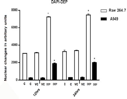 DNA Damage Induced By DEPs In Human A549 Lung Cells And RAW264 7