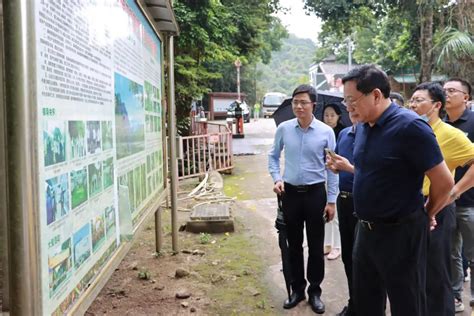 刘登山到昌江调研“两山”发展理念践行与海南热带雨林国家公园建设情况澎湃号·政务澎湃新闻 The Paper