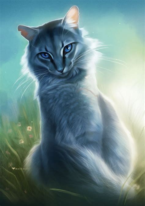 Bluestar Speedpaint By Mothmori On Deviantart Warrior Cats Fan Art