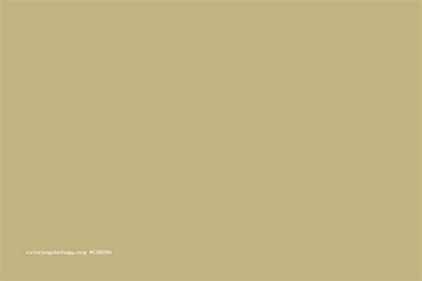 ecru  color  ecru meaning hex code psychology