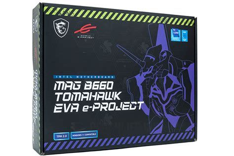 MSI MAG B660 Tomahawk EVA E PROJECT 2 BenchLife Info