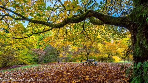 Seattle Recreation And Attractions Museums Parks Hiking