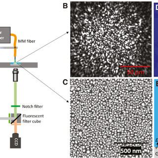 Opto Thermoelectric Speckle Tweezers A Schematic Of The Experimental