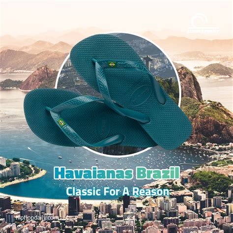 havaianas brazil classic   reason