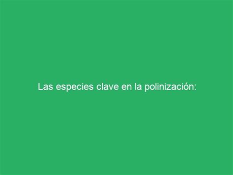 Las especies clave en la polinización guardianes de la biodiversidad