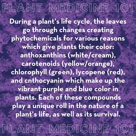 Good Day Farm Dispensary added... - Good Day Farm Dispensary