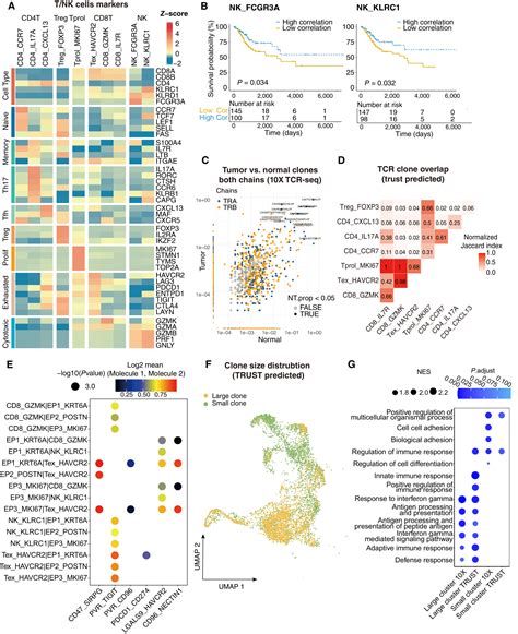 Singlecell Dissection Of Cervical Cancer Reveals Key Subsets Of The