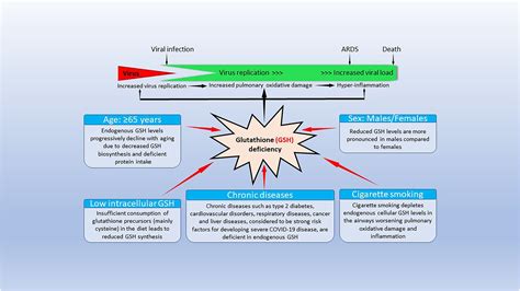 Frontiers Glutathione Deficiency In The Pathogenesis Of Sars Cov