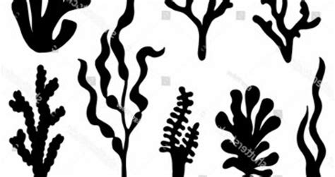 Download High Quality seaweed clipart silhouette Transparent PNG Images - Art Prim clip arts 2019