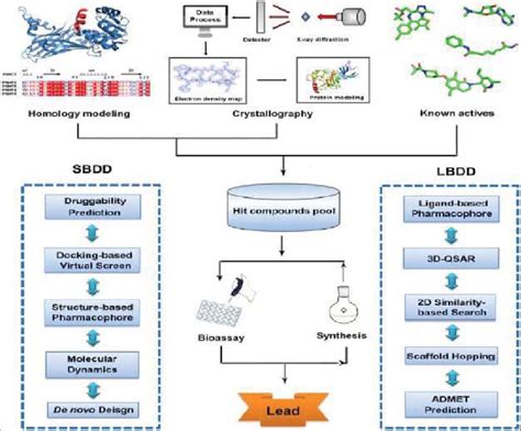 Structure-based drug design (SBDD) and Ligand-based drug design (LBDD ...