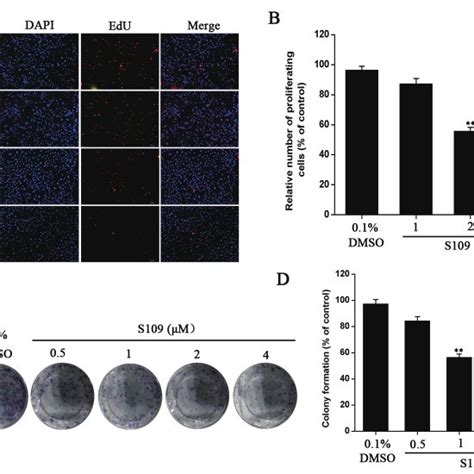 S109 Inhibits Proliferation And Colony Formation Of 786 O Cells A