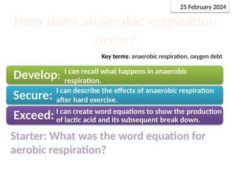 8c Exploring Science Breathing And Respiration Teaching Resources