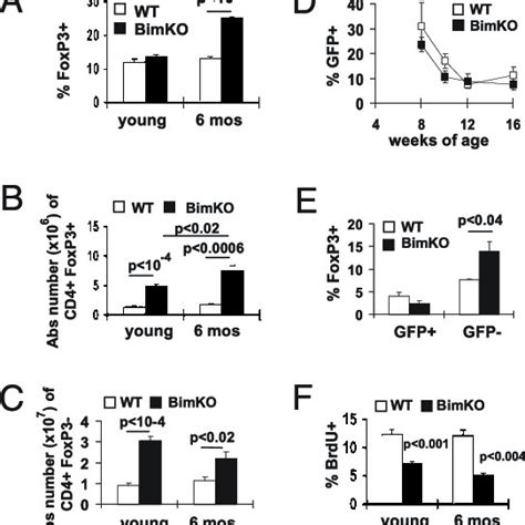 Increased Frequency Of Foxp3 T Cells In Middle Aged Bim Ko Mice A C