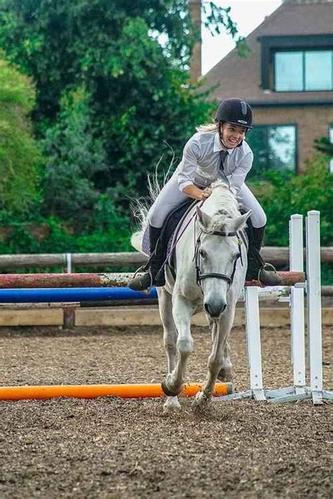 UP CLOSE with Ealing Riding School | Local News | News | Ealing Nub ...