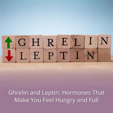 Ghrelin and Leptin: Hormones That Make You Feel Hungry and Full ...