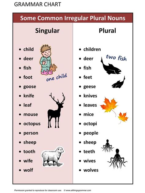 Irregular Plural Nouns Examples Sentences