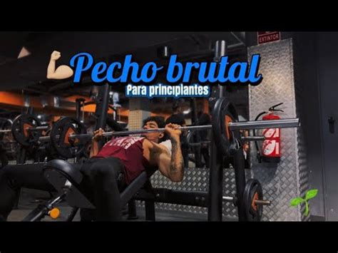 Rutina De Pecho Brutal Para Principiantes Youtube