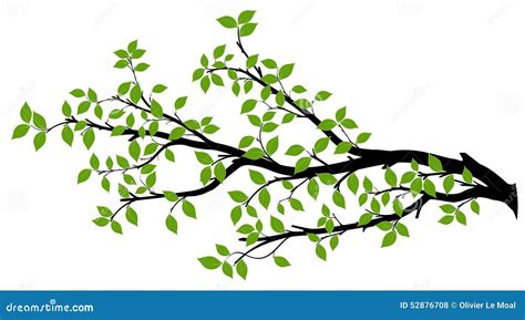 Tree Branch Silhouette, Vector Graphics Stock Illustration - Image: 52876708