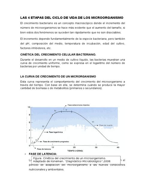 Las 4 Etapas Del Ciclo De Vida De Los Microorganismo