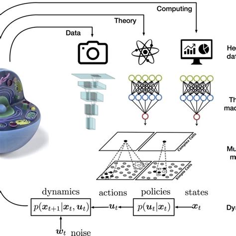 Data-driven machine learning for multiscale modeling of biomedical... | Download Scientific Diagram