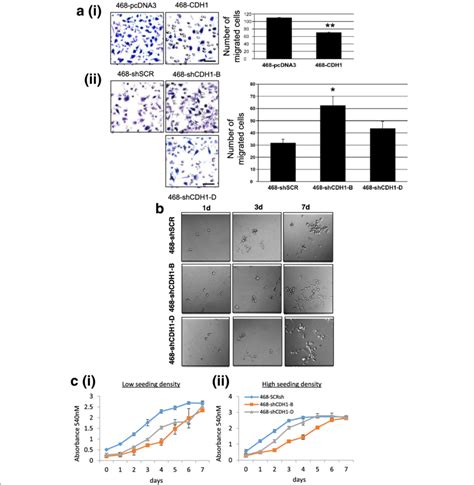 A Transwell Chemotaxis Migration Assay N 3 Error Bars Represent Download Scientific