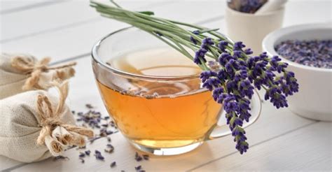 Necesitas relajarte Prueba esta deliciosa infusión de lavanda con