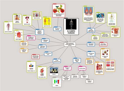 El Blog De Fátima Esquema Sobre El Cuerpo Humano ¿qué Sabemos Sobre él