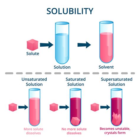 Types Of Solutions Based On The Amount Of The Solute — Lesson Science