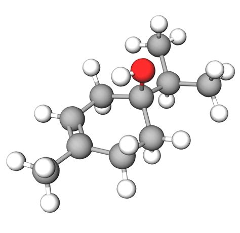 4-Terpineol | Ingredient | INCIGuide